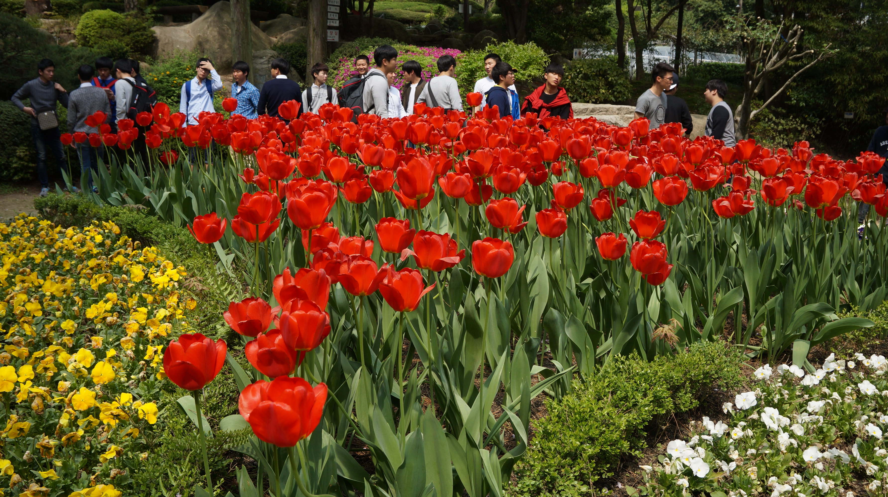 2015 봄소풍 상세보기
